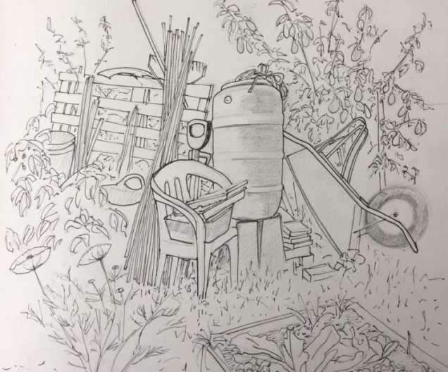 allotment drawing 1